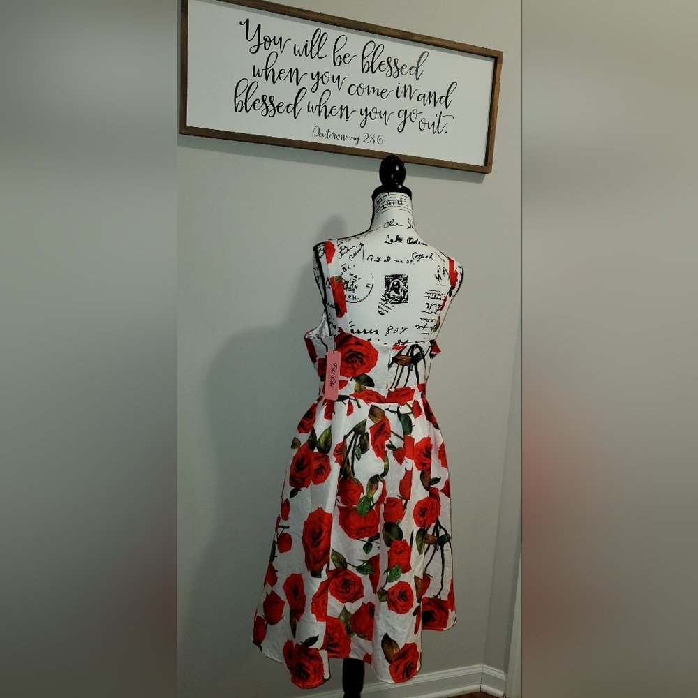 ModCloth Unique Vintage Chi Chi London High Tea Red Rose Formal Dress Size 20 - Picture 9 of 16